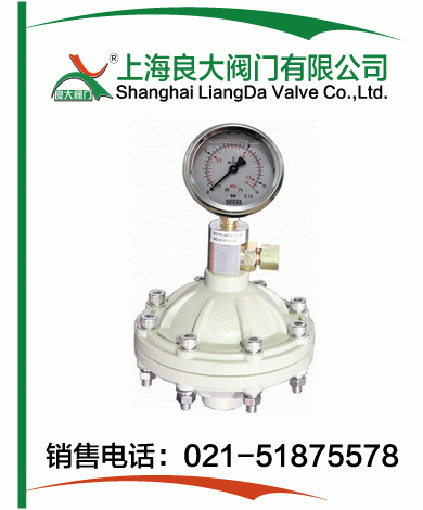 PP、PVDF脈沖阻尼器
